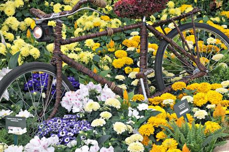 The Chelsea Flower Show 2014