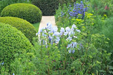 The Chelsea Flower Show 2014