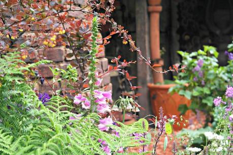 The Chelsea Flower Show 2014