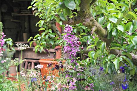 The Chelsea Flower Show 2014