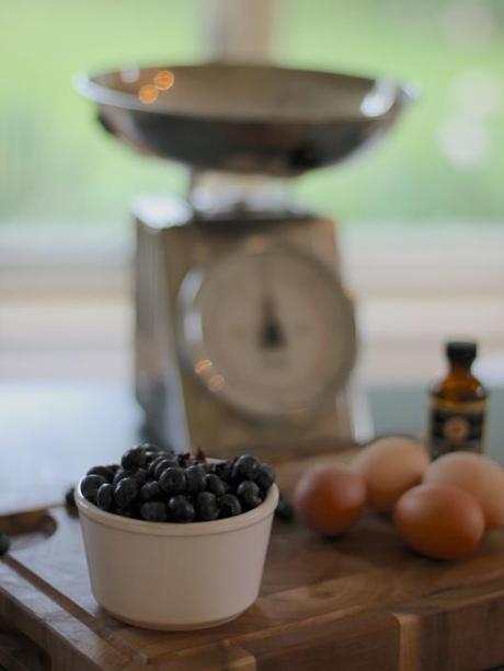 Blueberry-Traybake