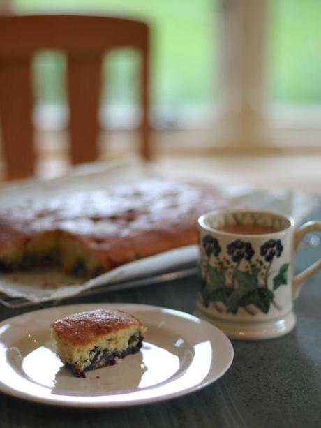 Blueberry-Traybake