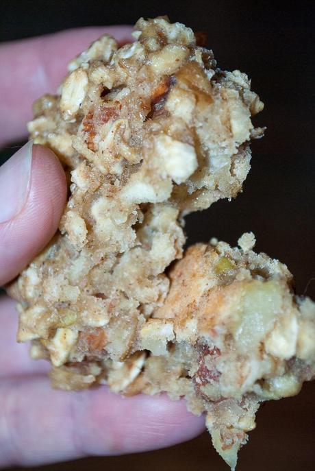 Oatmeal and Apple Breakfast Cookies