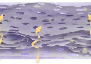 Close-up view of holey graphene framework film; arrows highlight ion-transport pathway short-cuts.