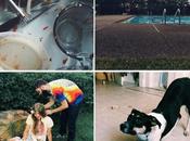 Instagram Lately: August Messes Lyricism