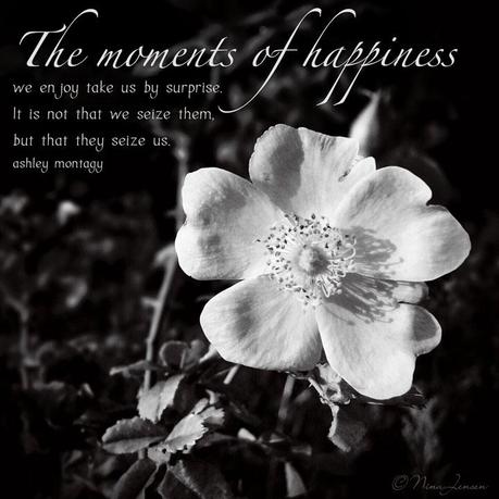 Moments of Happiness