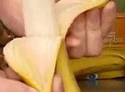 Peeling Bananas Right Monkey