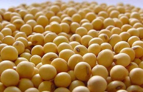 Soybean For Hair Growth
