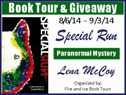 Special Run by Lena McCoy: Spotlight with Excerpt