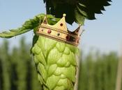 Bitter Rivalry: Time Name Region ‘King’ IPA?