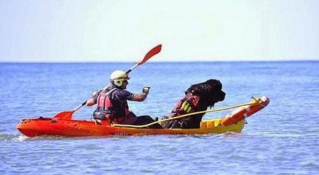 life saving dog of Marina to Bruno, the Newfoundland at Spain