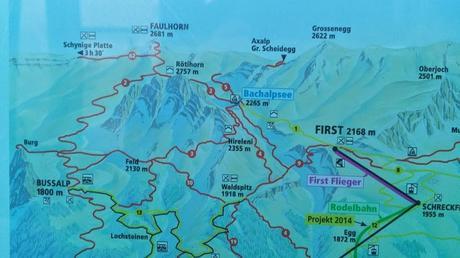 Hiking map from the First Gondola to the Bachalpsee to the Faulhorn, down to the Bussalp, then back to Grindelwald.