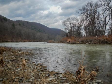 View of the Chemung River