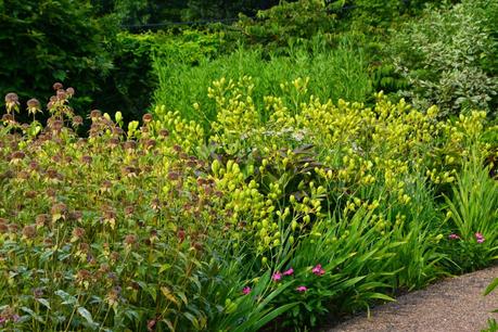 Phipps Conservatory and Botanical Garden