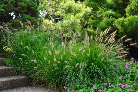 Phipps Conservatory and Botanical Garden