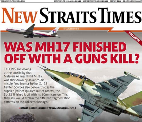 Malaysian government says the plane was shot down from the air.