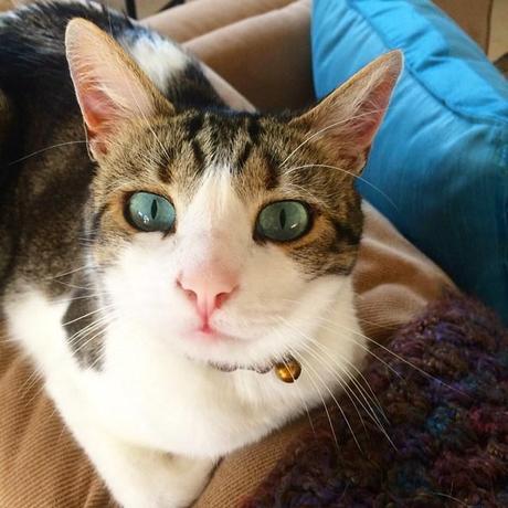 10378922_10100121722534315_5229832447256330918_n