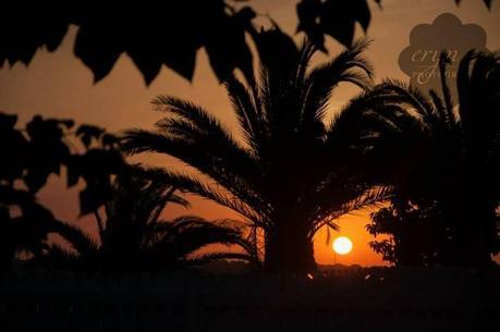 10514623_10100125951489455_257652133672442720_n