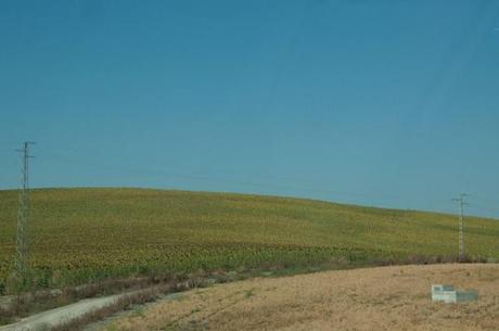 10551001_10100125947926595_5652298611109064839_n