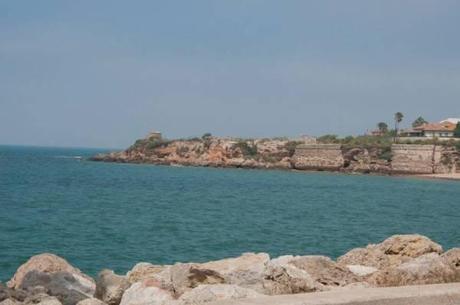 10463072_10100125948121205_8256215448635651979_n