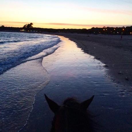 10478155_10100124705850725_1115970125986224145_n