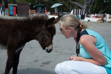 10491099_10100125962701985_2537580157321246667_n