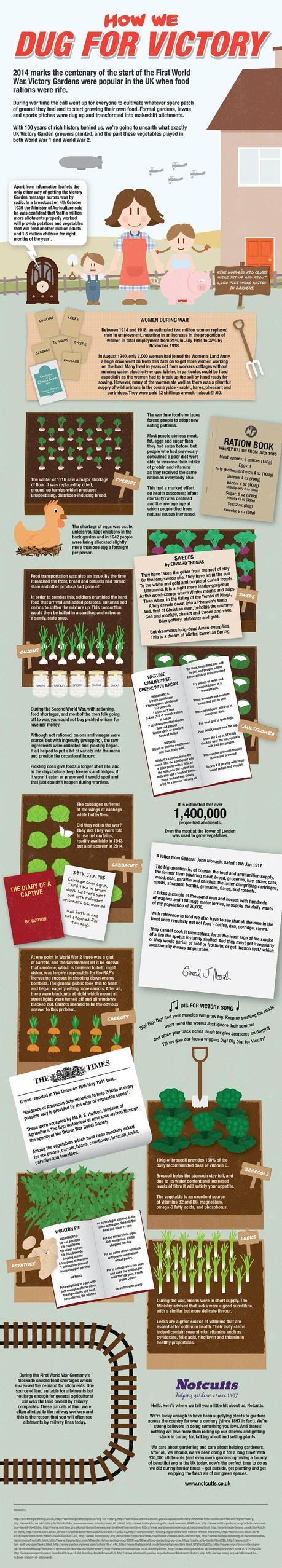 Victory Garden Infographic