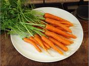 Carrots: Class