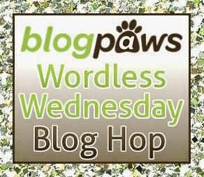 Wordless Wednesday