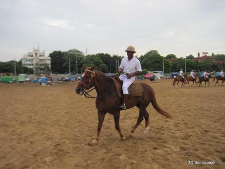 affable Horse battallion at Work in the sands of Marina beach