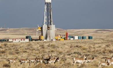 Fracking’s Impact on Wildlife Remains Unknown Fracking’s Impact on Wildlife Remains Unknown