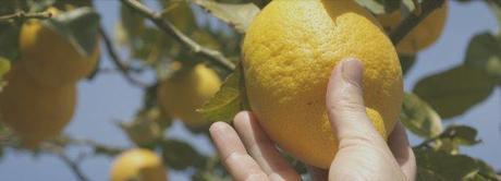 Five Alternative Jobs in Australia with the Backpacker Job Board slide-3