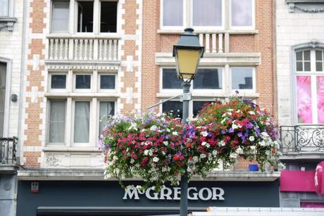 The lovely multi-clouted flowers that represent the colors of the flag from Mechelen!