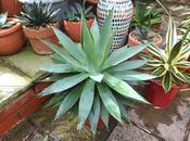 Summer Vacation from Room