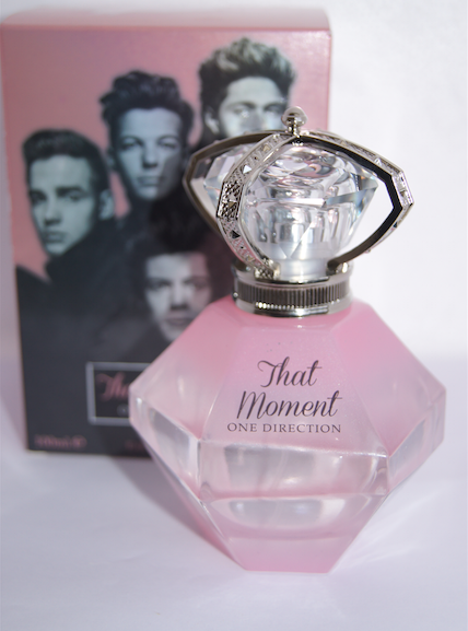 One Direction THAT MOMENT review
