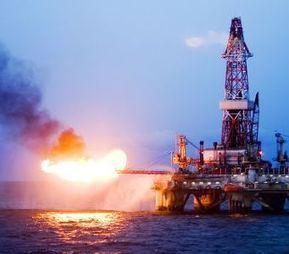 Protect Arctic Wildlife from Oil Drilling