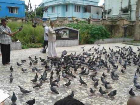 Taken in July 7, 2014 in Kochi. 