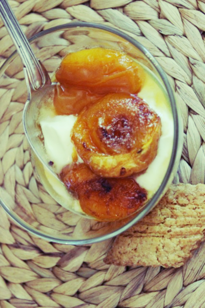 Apricot panna cotta corey amaro photograph