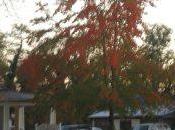 Does College Cost Much Money? Small Ivy’s Idea