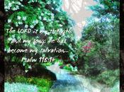 Word Week Psalm 118:14
