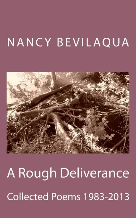 Author Interview: Nancy Bevilaqua: Holding Breath: A Memoir of AIDS Wildfire Days