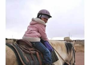 NewMexicoHorse