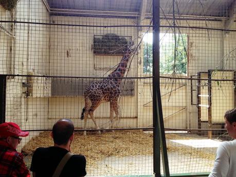 A DAY TRIP TO DUDLEY ZOO