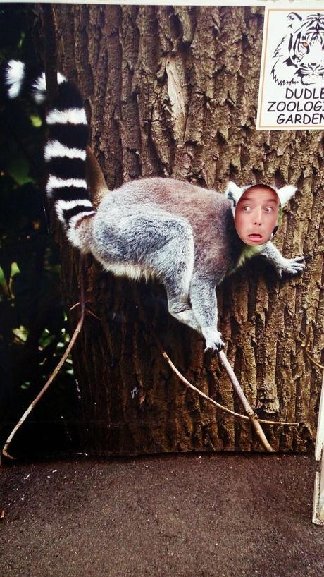 A DAY TRIP TO DUDLEY ZOO