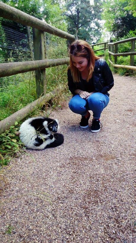 A DAY TRIP TO DUDLEY ZOO