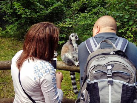 A DAY TRIP TO DUDLEY ZOO