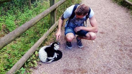 A DAY TRIP TO DUDLEY ZOO