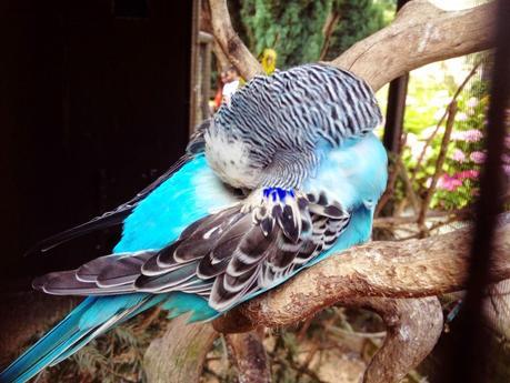 A DAY TRIP TO DUDLEY ZOO