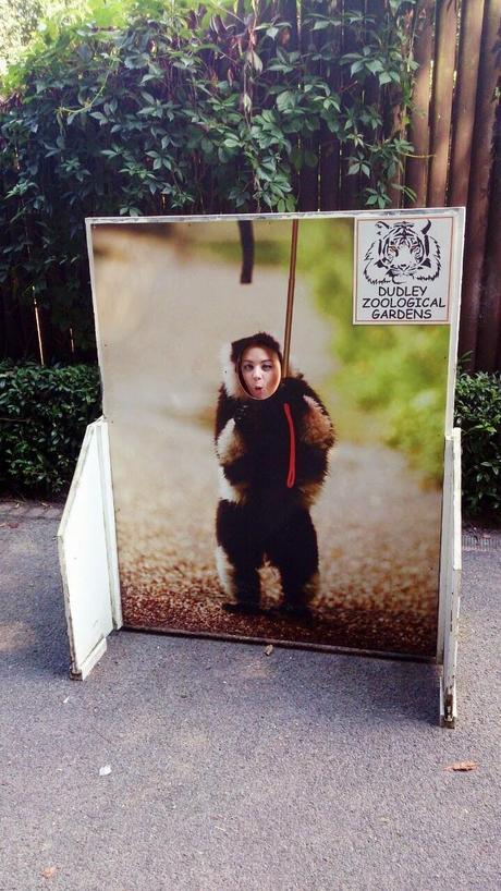A DAY TRIP TO DUDLEY ZOO