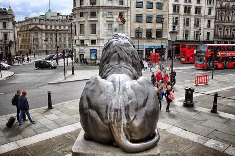 The London Nightly Photoblog 17:08:14